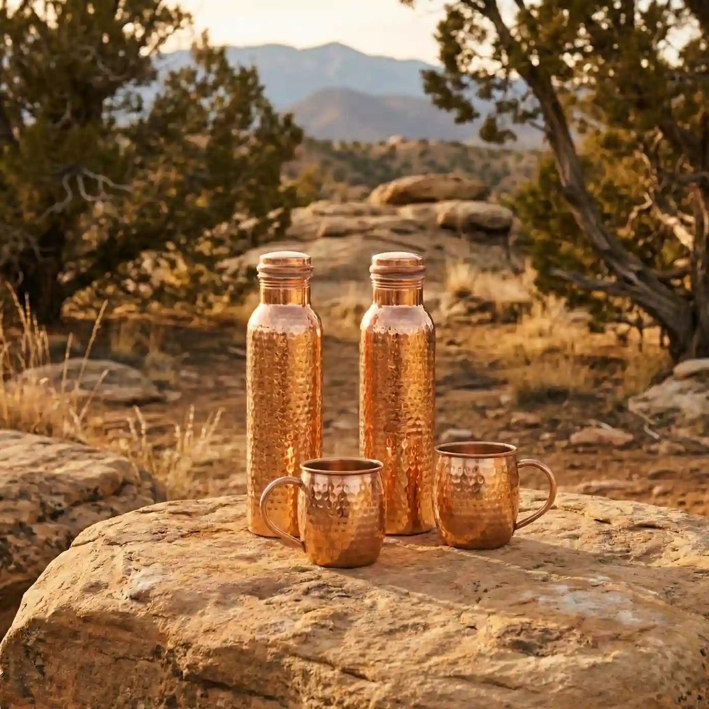 Artisan Hammered Copper Bottle & Mule Mug Set